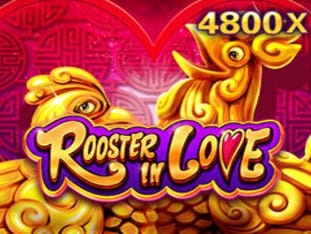 Rooster In Love thumbnail