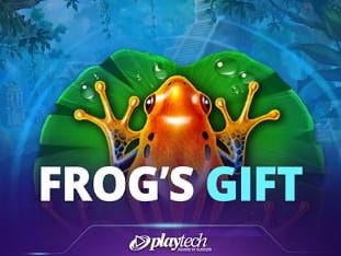 Frogs Gift thumbnail
